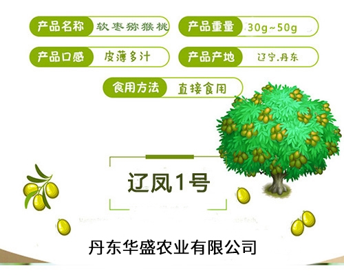 遼鳳1號(hào)軟棗獼猴桃